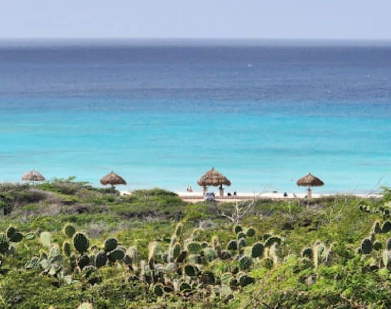 Aruba Island Itinerary: Your ultimate plan for 4-Days of Sun, Sand, and Adventure!
