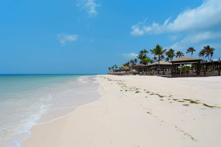 Relaxing view of a tropical beachfront in Oranjestad, Aruba with palm trees and clear blue waters.